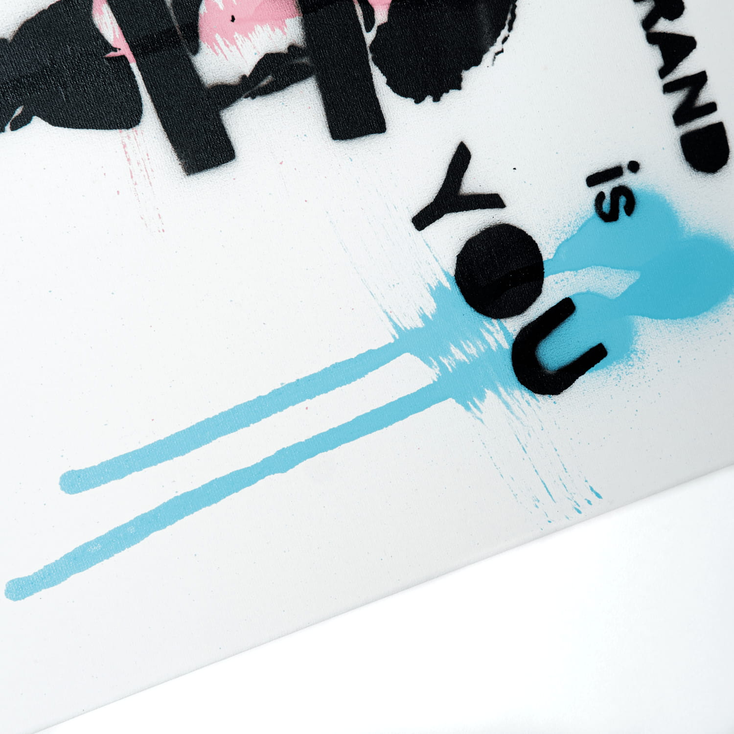 Brand street art painting by tcp375, view 5
